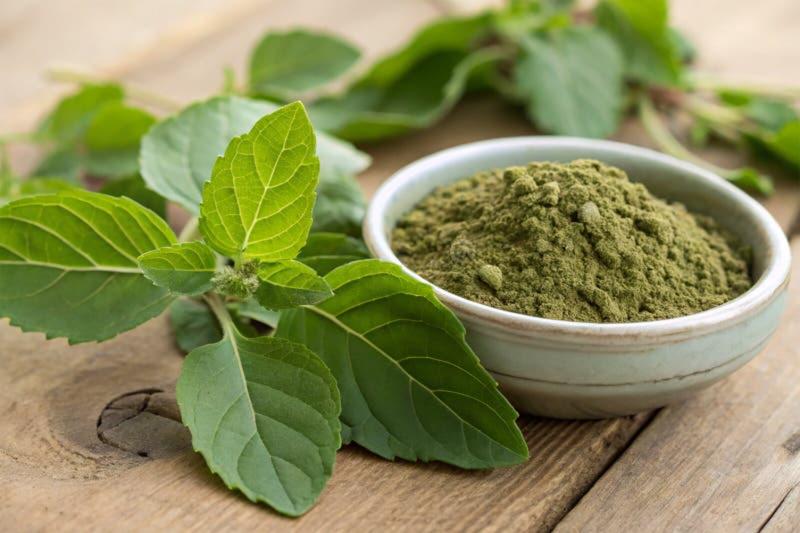 Tulsi Leaf Powder