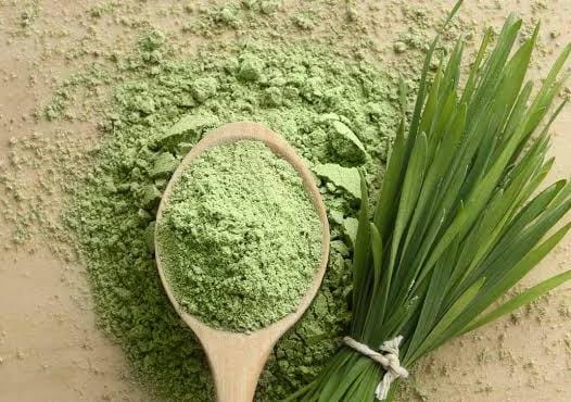 Wheatgrass Powder